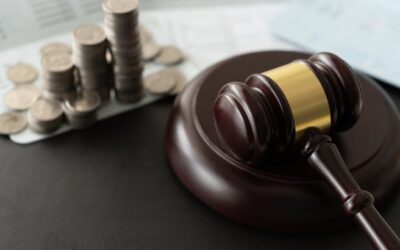 New Law on Economic Crimes and Environmental Offenses