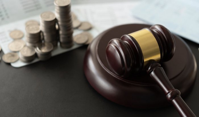 Nueva Ley de Delitos Económicos y Atentados en contra del Medioambiente