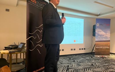 Punta Arenas Mission